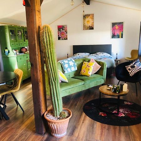 Bed and Breakfast B &B Yuupke Maasbree Noord-Limburg Venlo Roermond Esterno foto
