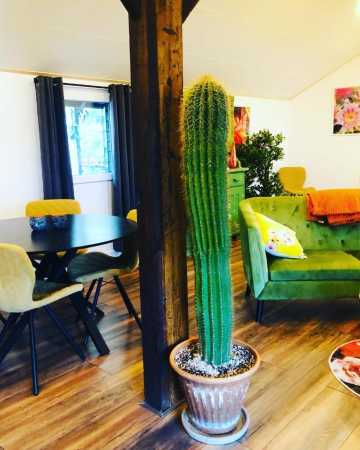 Bed and Breakfast B &B Yuupke Maasbree Noord-Limburg Venlo Roermond Esterno foto