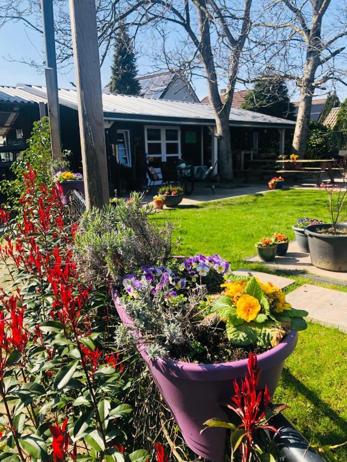 Bed and Breakfast B &B Yuupke Maasbree Noord-Limburg Venlo Roermond Esterno foto