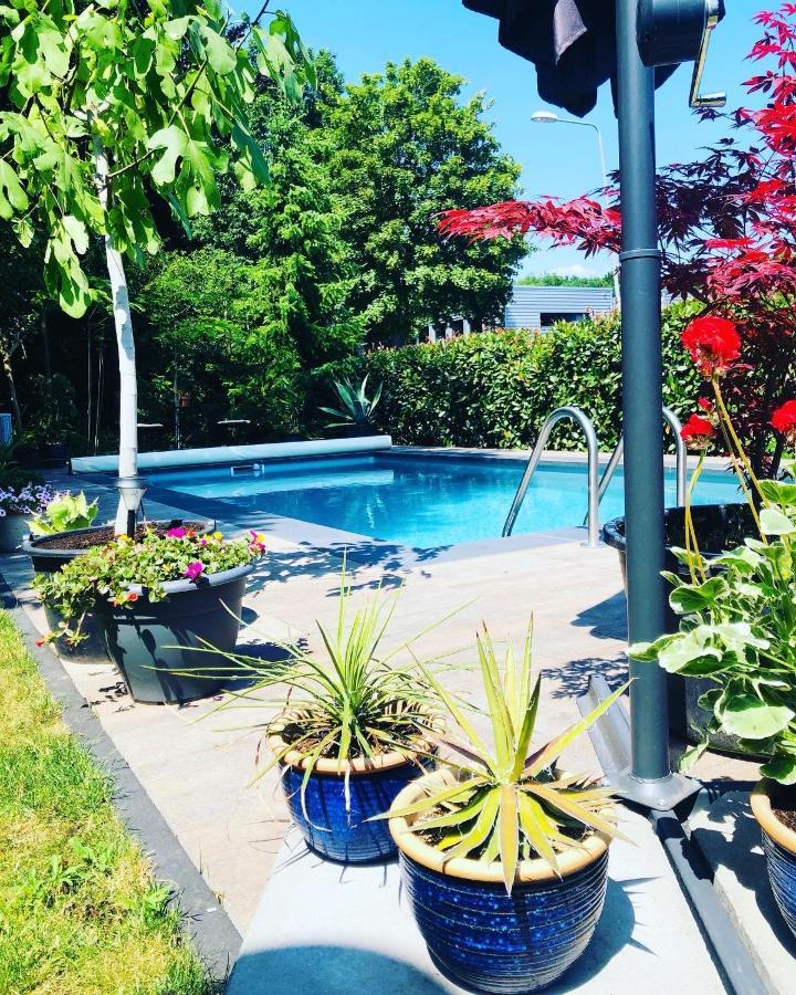 Bed and Breakfast B &B Yuupke Maasbree Noord-Limburg Venlo Roermond Esterno foto