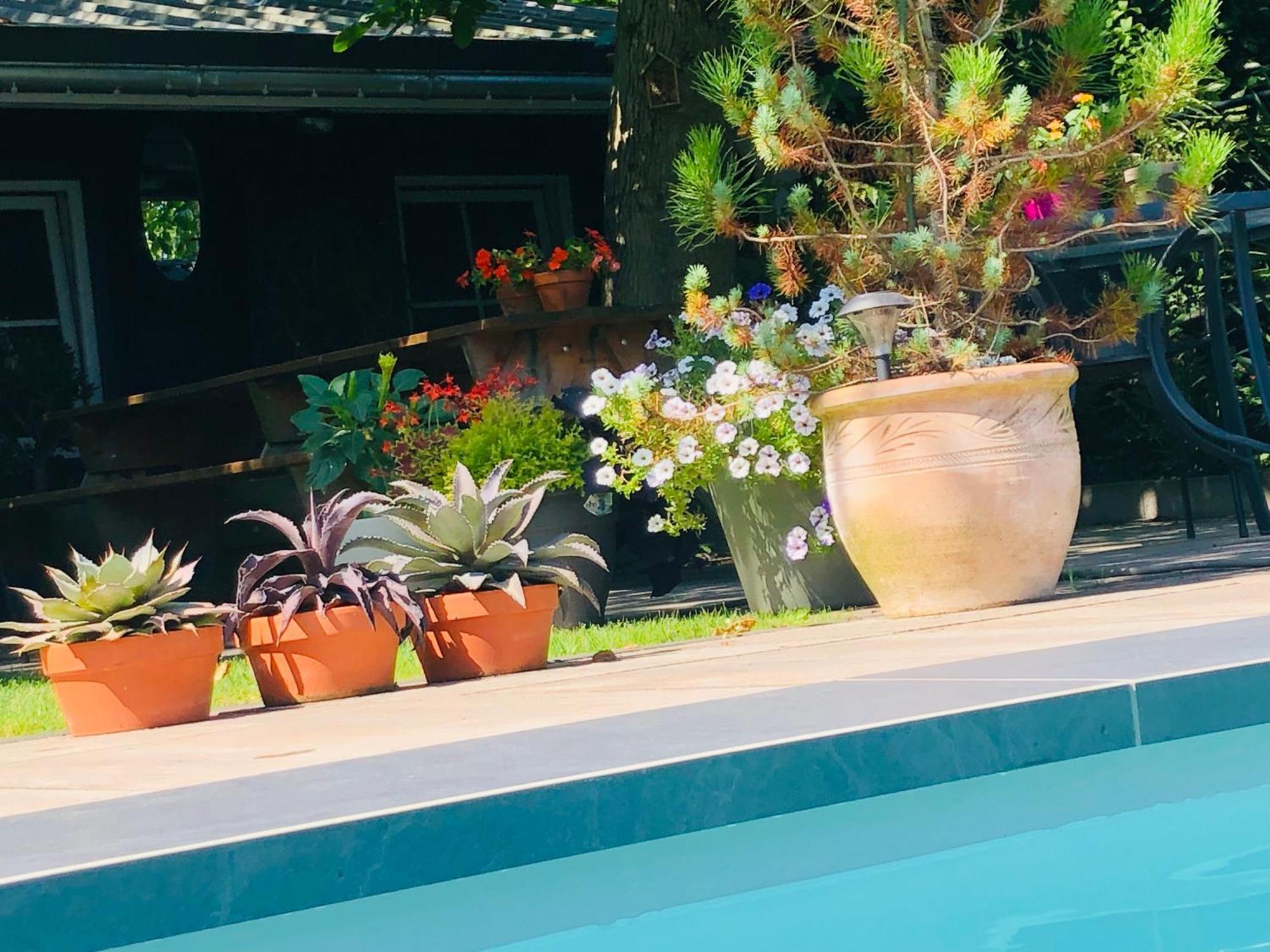 Bed and Breakfast B &B Yuupke Maasbree Noord-Limburg Venlo Roermond Esterno foto