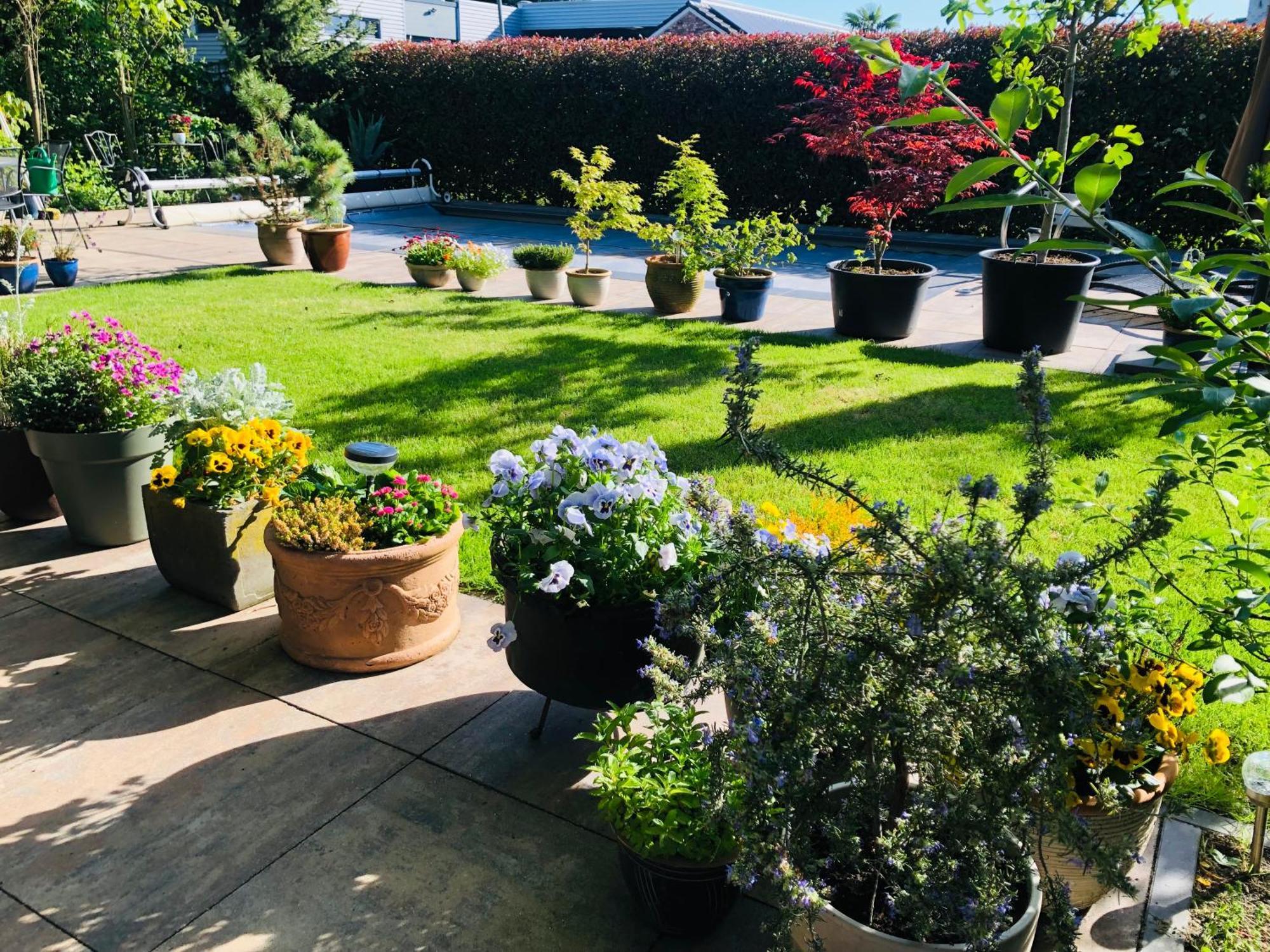 Bed and Breakfast B &B Yuupke Maasbree Noord-Limburg Venlo Roermond Esterno foto